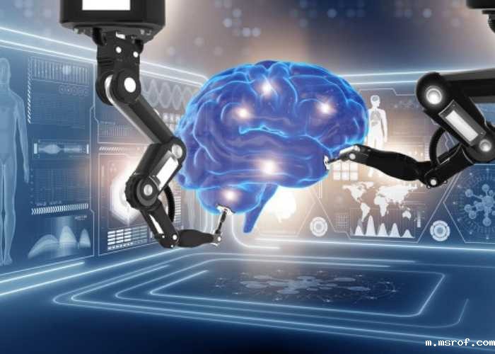 开云体育新人生物 开云体育新人生物