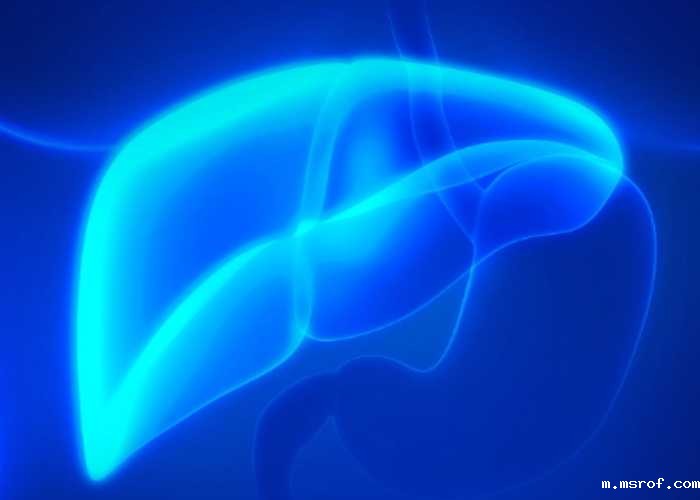 开云体育新人生物 开云体育新人生物