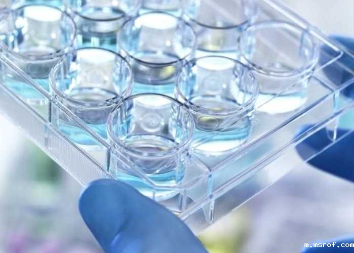 开云体育新人生物 开云体育新人生物