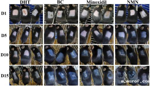 开云体育新人生物 开云体育新人生物