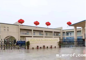 企业风貌 企业风貌