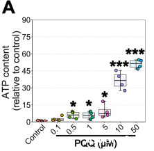 开云体育新人生物 PQQ给药对体外ATP的影响