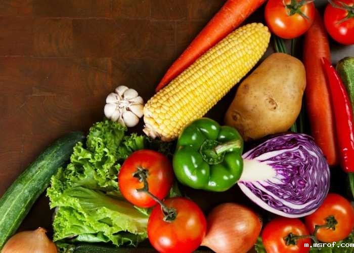 开云体育新人生物 健康的饮食