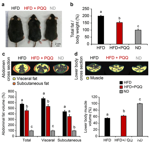开云体育新人生物 研究实验