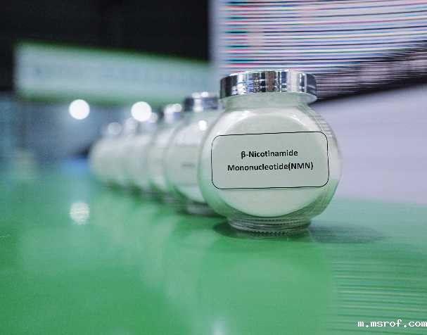 开云体育新人生物 烟酰胺单核苷酸NMN