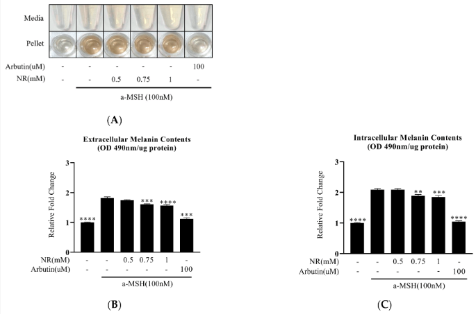 开云体育新人生物 NR最新研究结论