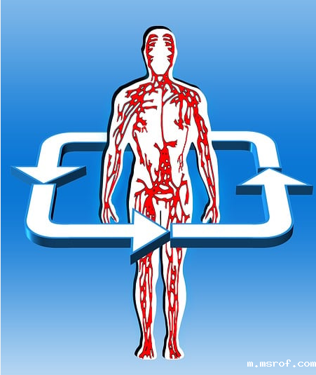 开云体育新人生物 服用谷胱甘肽的最佳形式