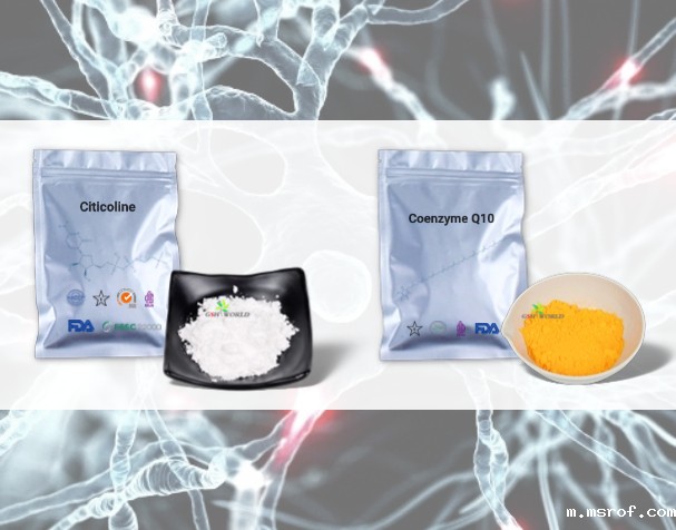 胞磷胆碱与辅酶Q10的神经保护机制