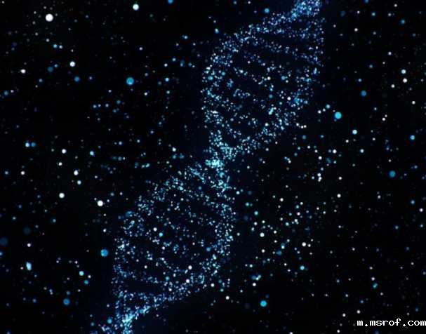 开云体育新人生物 烟酰胺核糖氯化物有什么优势?