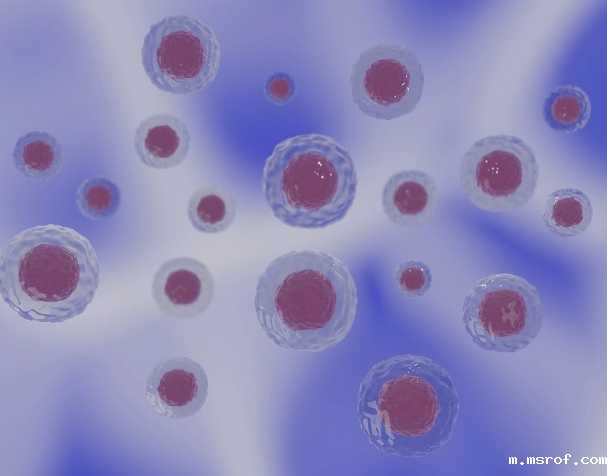 开云体育新人生物 PQQ的结构与特性