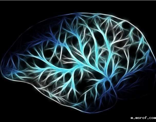 开云体育新人生物 PQQ对大脑功能的影响