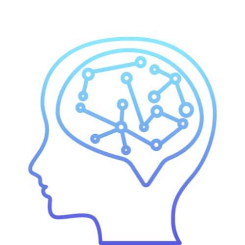 开云体育新人生物 胞磷胆碱的抗炎机制