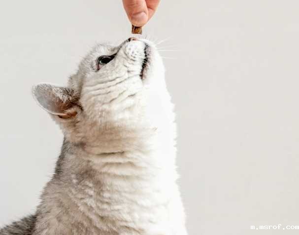 辅酶Q10：促进心血管健康