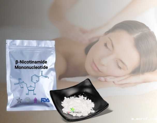 开云体育新人生物 NMN的抗衰老机制