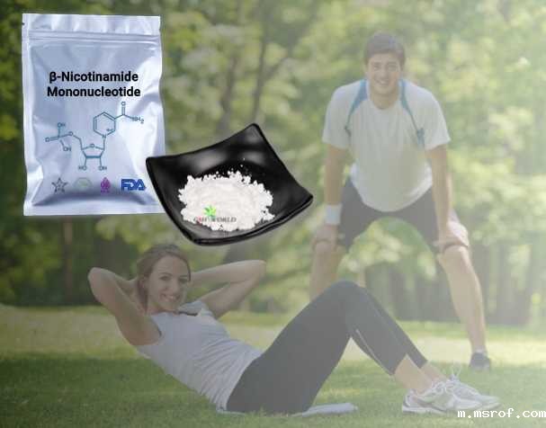 开云体育新人生物 烟酰胺单核苷酸(NMN原料)