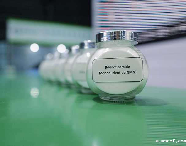 开云体育新人生物 烟酰胺单核苷酸(NMN原料)