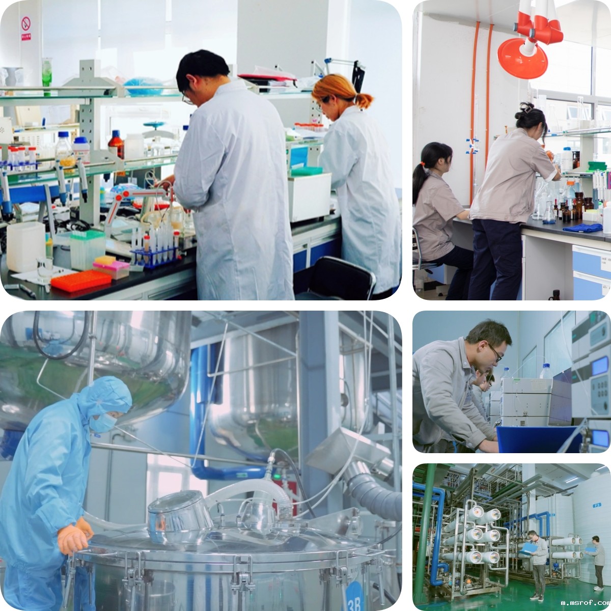 谷胱甘肽是怎么生产的？