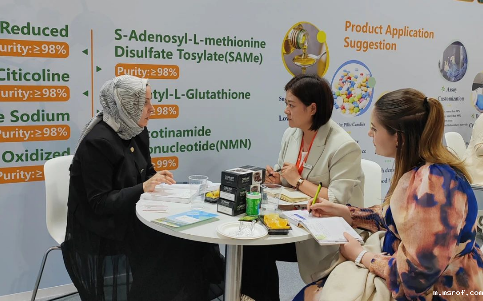 展会现场为客户介绍公司产品