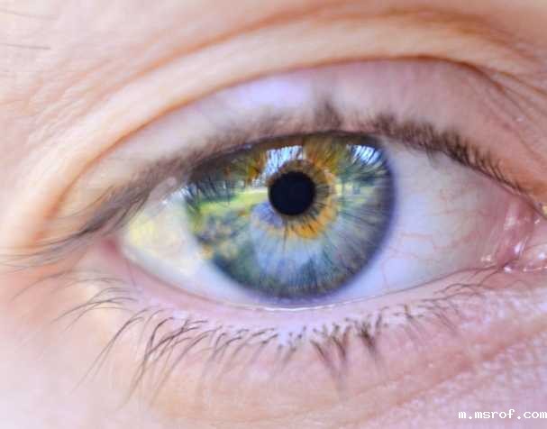 胞磷胆碱的作用机制