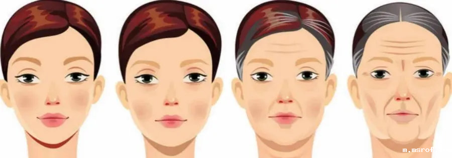 烟酰胺与NAD/NADH代谢