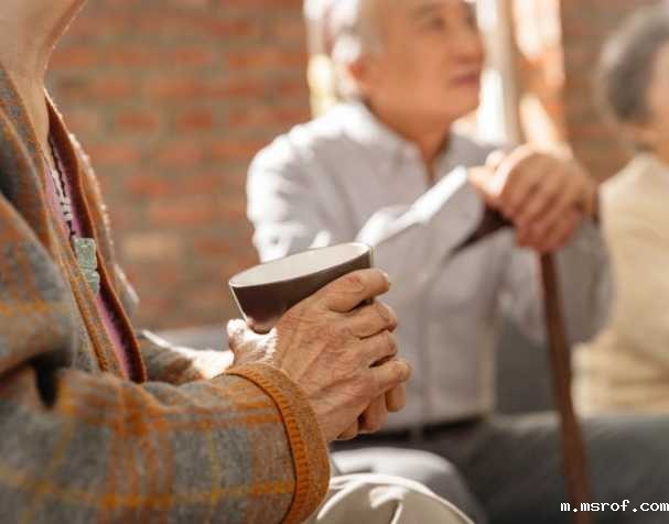 胞磷胆碱:开启健康与认知新潜能 胞磷胆碱:开启健康与认知新潜能