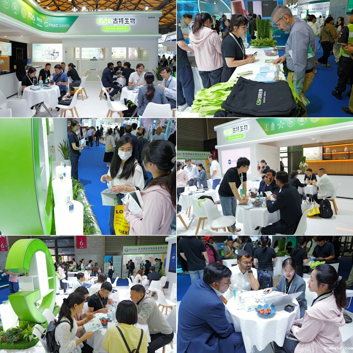 开云体育新人生物