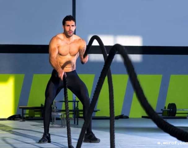 PQQ二钠盐:改善肌肉力量的新型膳食营养素 PQQ二钠盐:改善肌肉力量的新型膳食营养素