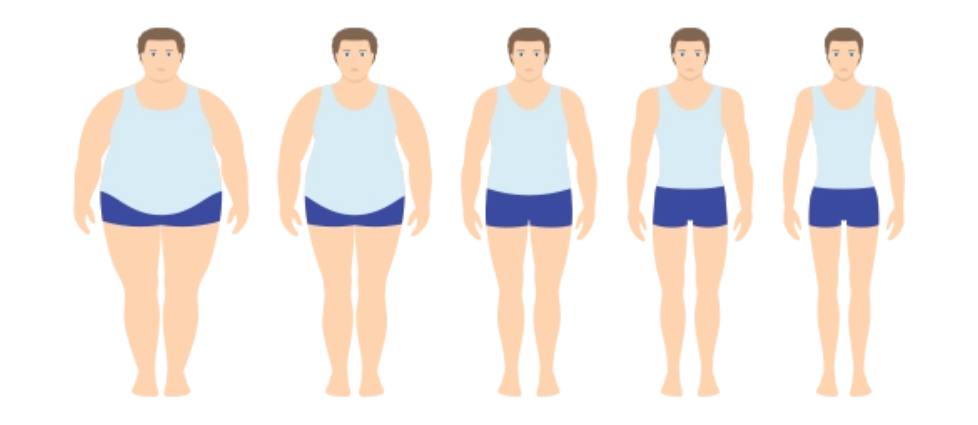 抗氧化补充剂通过多重机制影响脂肪组织