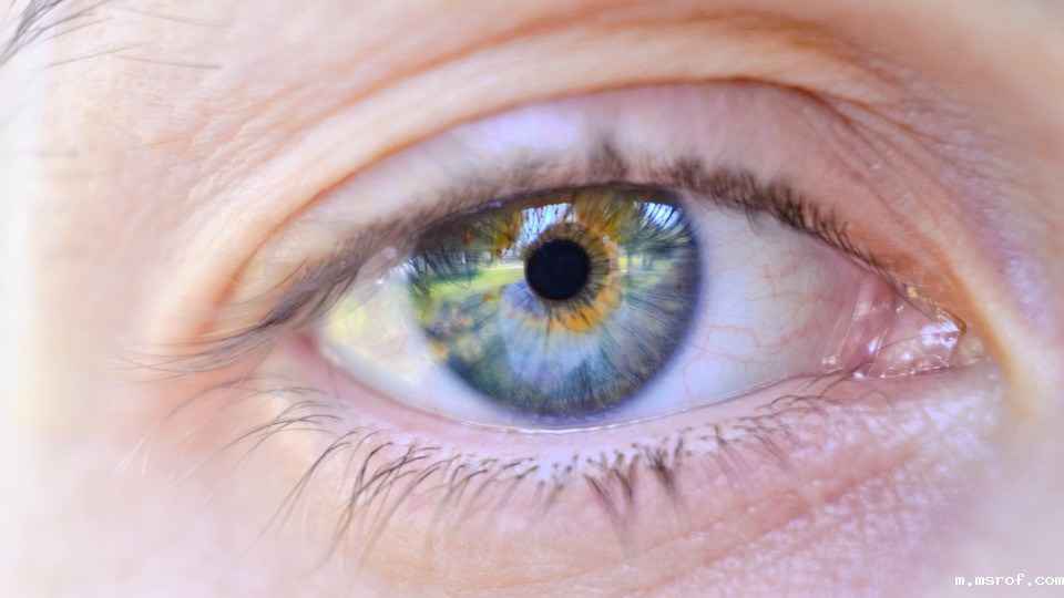 胞磷胆碱与多成分联合对视神经的影响