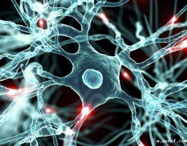 开云体育新人生物 胞磷胆碱对大脑健康的显著益处