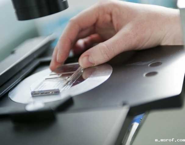 提高免疫力 提高免疫力