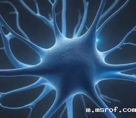 胞磷胆碱：神经膜的直接修复者