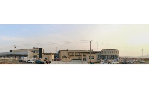 开云体育新人生物大事记