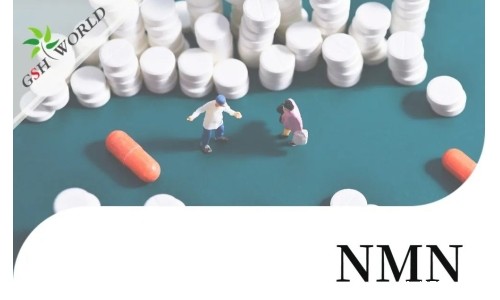 NMN(烟酰胺单核苷酸)的适用人群