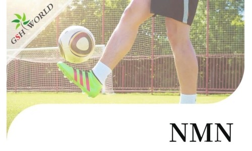 行业关注 - NMN对肌腱炎的抗氧化作用