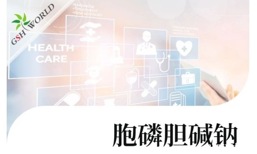 行业关注 - 胞磷胆碱钠对新冠导致相关认知衰退的潜在作用
