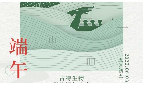 端午 - 争流而上，行舟踏浪