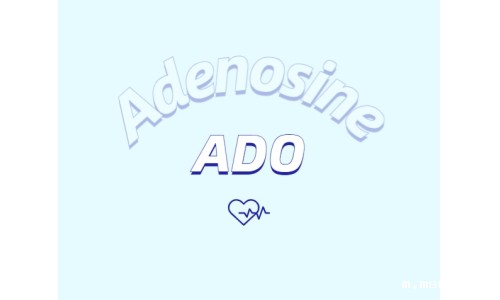 腺苷与炎症