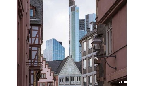 欧洲食品配料展Fi Europe 2024邀请