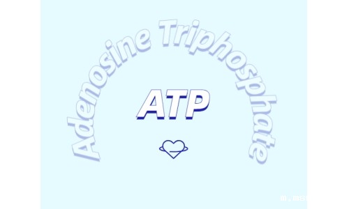 ATP 补充剂有什么作用？