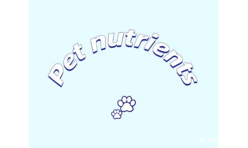 三种具有潜力的宠物营养素——PQQ、辅酶Q10以及S-腺苷甲硫氨酸