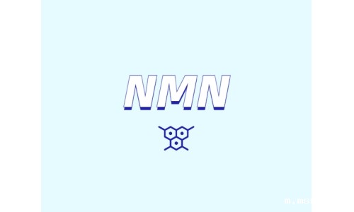 NMN在人工膜中的渗透性表现