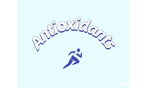 抗氧化补充剂影响脂肪组织
