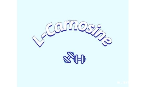 肌肽在食品工业中的应用前景