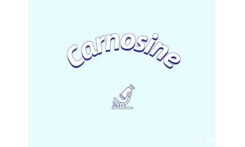 肌肽补充剂或可改善年轻群体认知